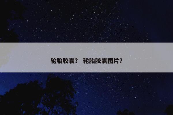 轮胎胶囊？ 轮胎胶囊图片？