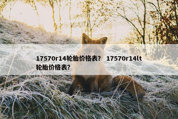 17570r14轮胎价格表？ 17570r14lt轮胎价格表？