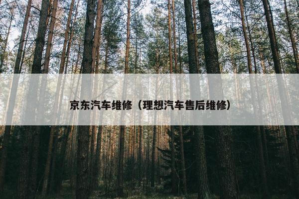 京东汽车维修（理想汽车售后维修）