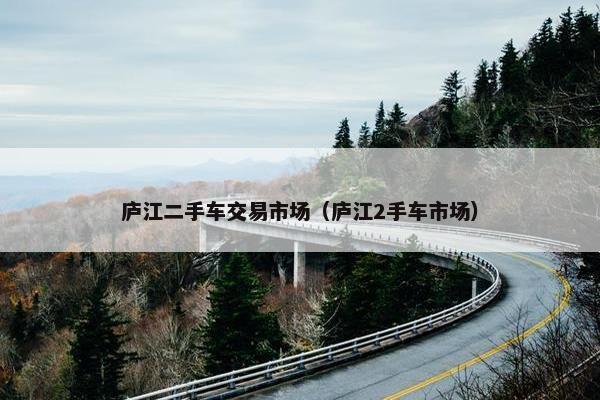 庐江二手车交易市场（庐江2手车市场）