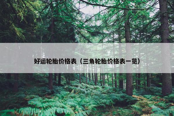 好运轮胎价格表（三角轮胎价格表一览）