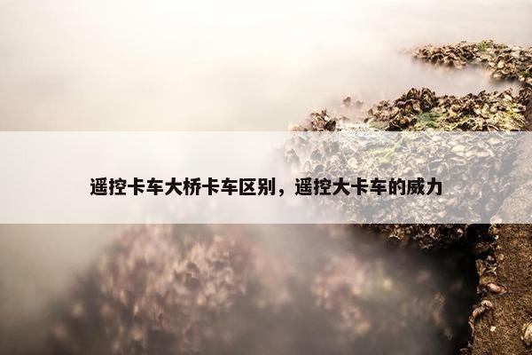 遥控卡车大桥卡车区别，遥控大卡车的威力