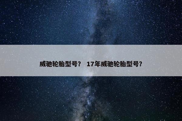 威驰轮胎型号？ 17年威驰轮胎型号？