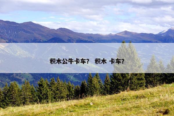 积木公牛卡车？ 积木 卡车？