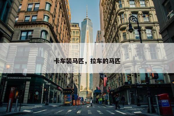 卡车装马匹，拉车的马匹