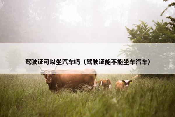 驾驶证可以坐汽车吗（驾驶证能不能坐车汽车）