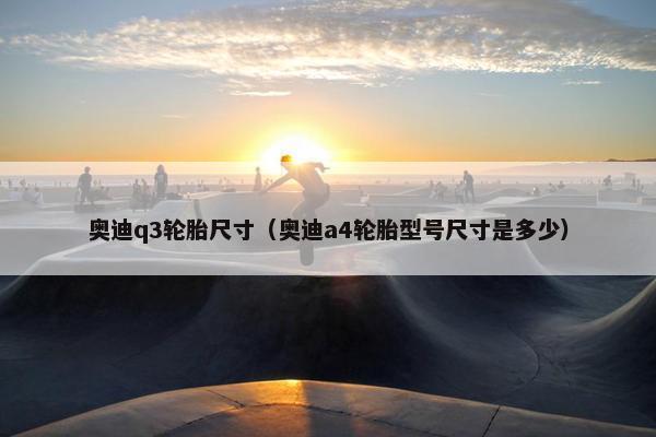 奥迪q3轮胎尺寸（奥迪a4轮胎型号尺寸是多少）