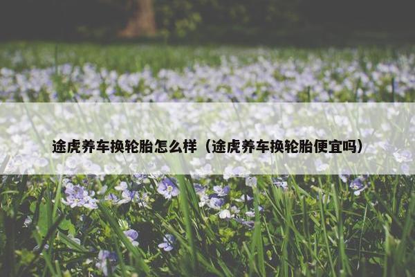 途虎养车换轮胎怎么样（途虎养车换轮胎便宜吗）