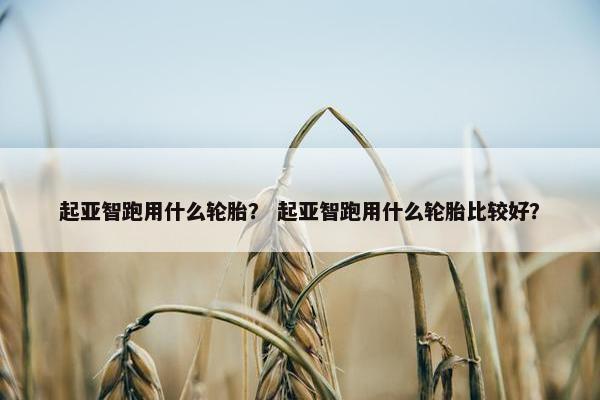 起亚智跑用什么轮胎？ 起亚智跑用什么轮胎比较好？