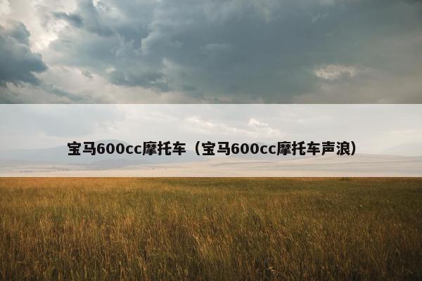 宝马600cc摩托车（宝马600cc摩托车声浪）