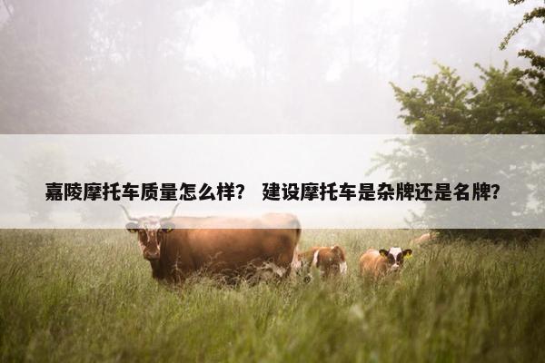 嘉陵摩托车质量怎么样？ 建设摩托车是杂牌还是名牌？