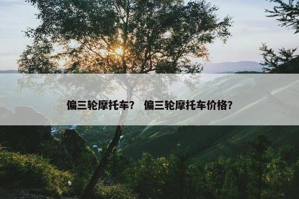 偏三轮摩托车？ 偏三轮摩托车价格？