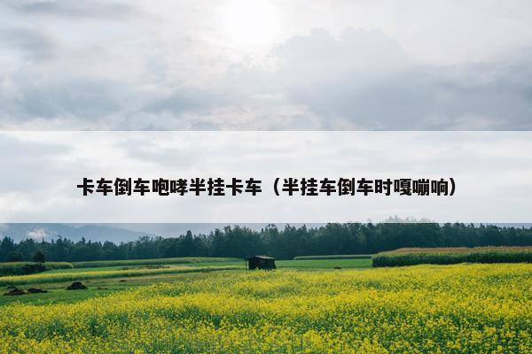卡车倒车咆哮半挂卡车（半挂车倒车时嘎嘣响）