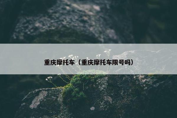 重庆摩托车（重庆摩托车限号吗）