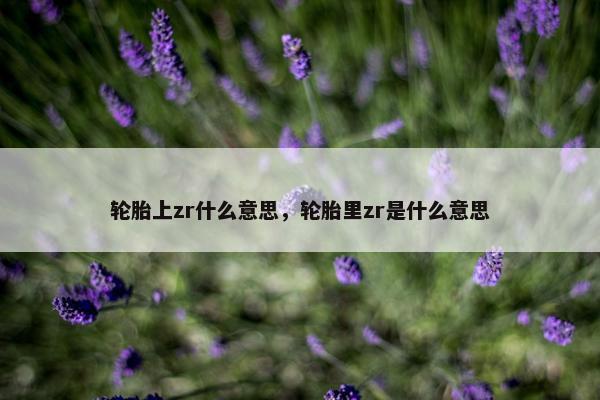 轮胎上zr什么意思，轮胎里zr是什么意思