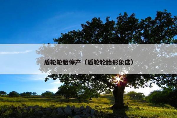 盾轮轮胎停产（盾轮轮胎形象店）
