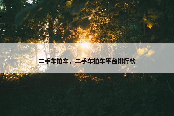二手车拍车，二手车拍车平台排行榜