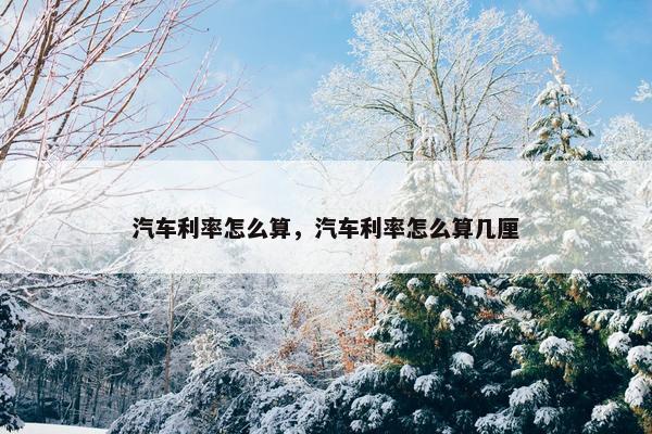汽车利率怎么算，汽车利率怎么算几厘