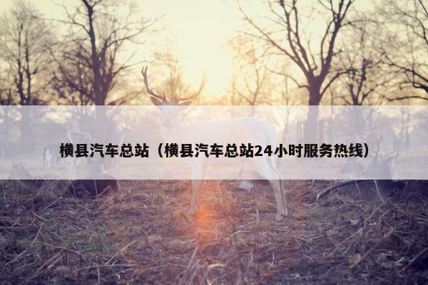 横县汽车总站（横县汽车总站24小时服务热线）