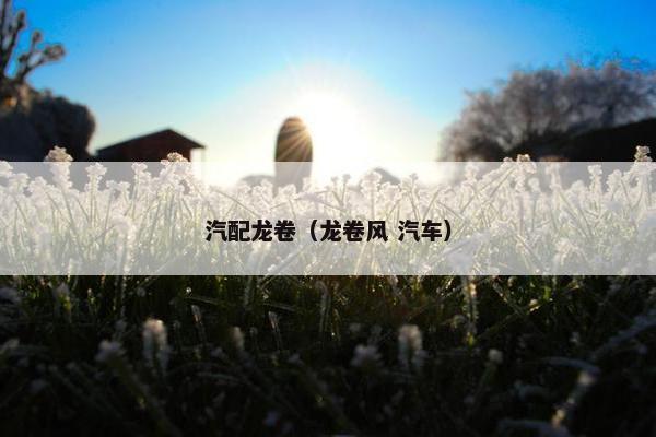 汽配龙卷（龙卷风 汽车）