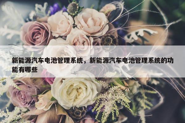 新能源汽车电池管理系统，新能源汽车电池管理系统的功能有哪些