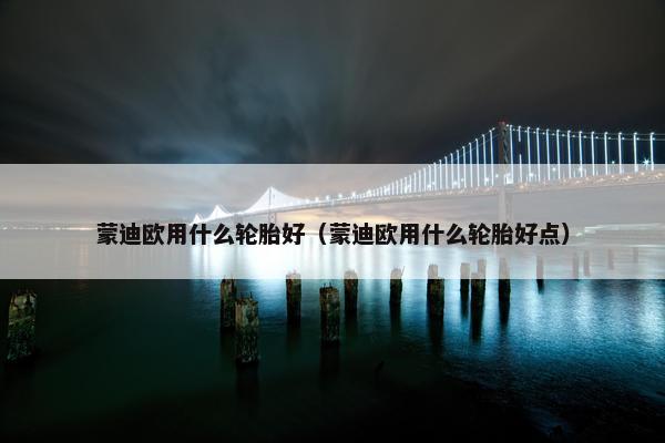 蒙迪欧用什么轮胎好（蒙迪欧用什么轮胎好点）