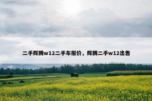 二手辉腾w12二手车报价，辉腾二手w12出售
