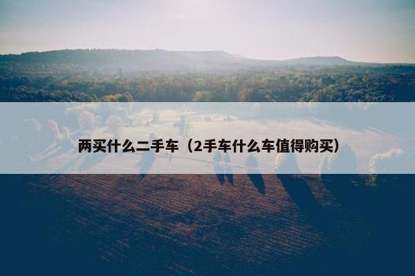 两买什么二手车（2手车什么车值得购买）