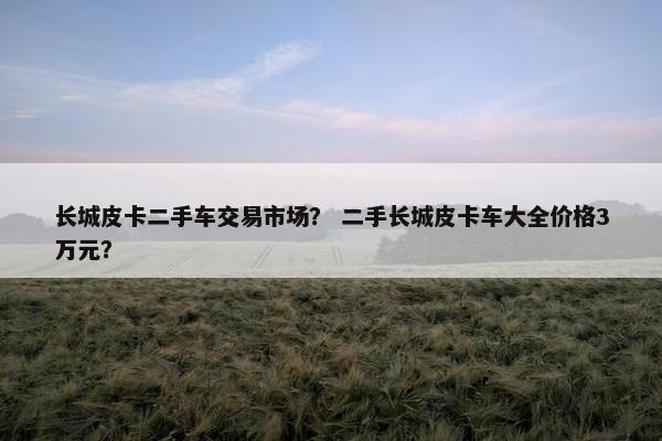 长城皮卡二手车交易市场？ 二手长城皮卡车大全价格3万元？
