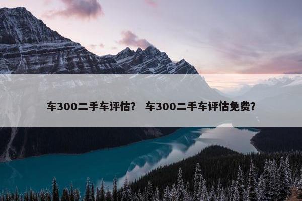 车300二手车评估？ 车300二手车评估免费？