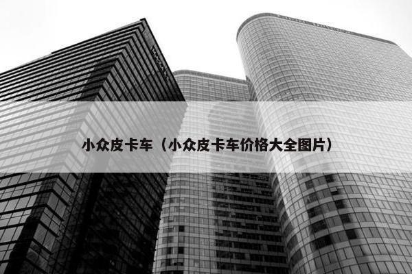 小众皮卡车（小众皮卡车价格大全图片）