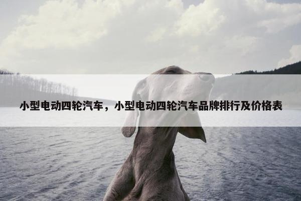 小型电动四轮汽车，小型电动四轮汽车品牌排行及价格表