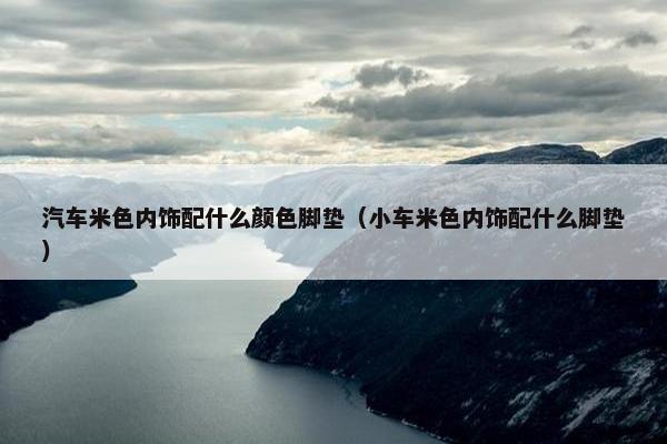 汽车米色内饰配什么颜色脚垫（小车米色内饰配什么脚垫）