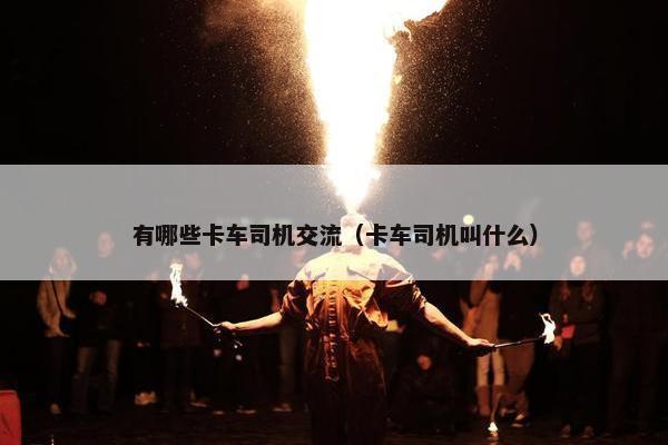 有哪些卡车司机交流（卡车司机叫什么）