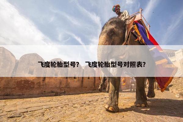 飞度轮胎型号？ 飞度轮胎型号对照表？