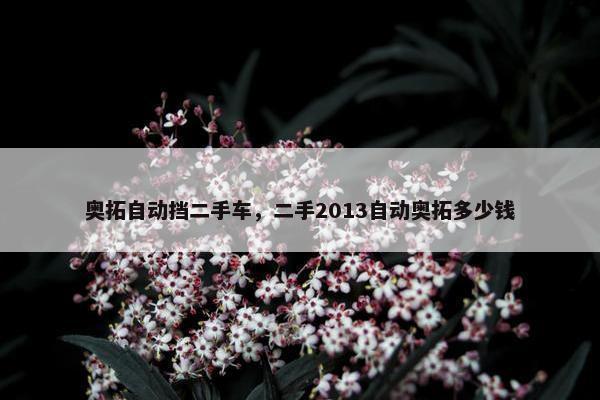奥拓自动挡二手车，二手2013自动奥拓多少钱