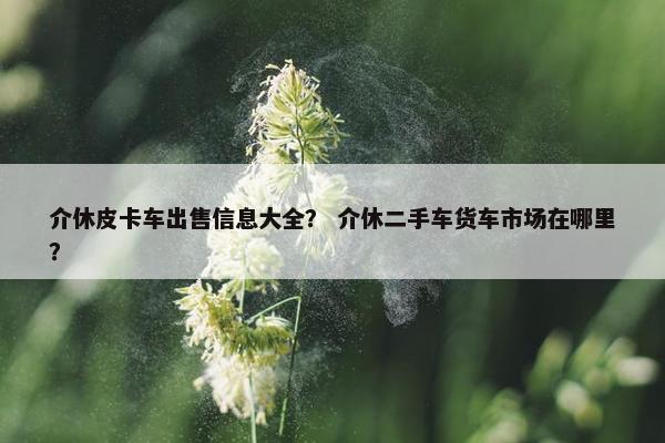 介休皮卡车出售信息大全？ 介休二手车货车市场在哪里？