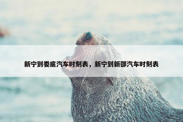 新宁到娄底汽车时刻表，新宁到新邵汽车时刻表