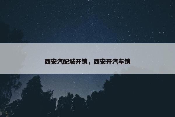 西安汽配城开锁，西安开汽车锁