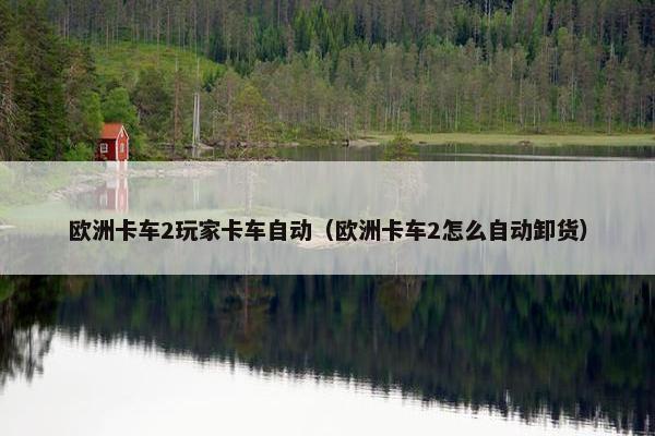 欧洲卡车2玩家卡车自动（欧洲卡车2怎么自动卸货）