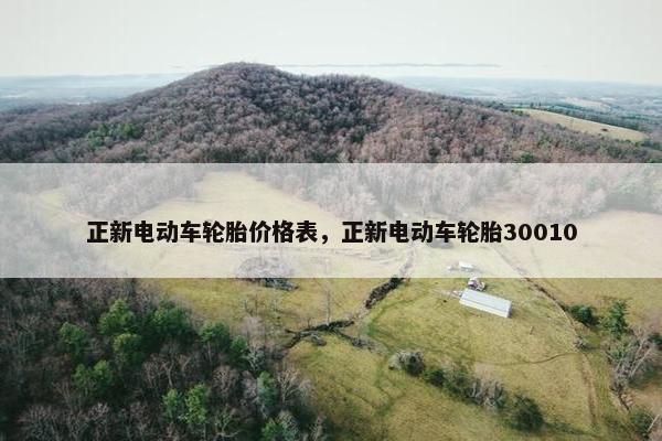 正新电动车轮胎价格表，正新电动车轮胎30010