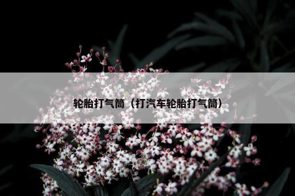 轮胎打气筒（打汽车轮胎打气筒）