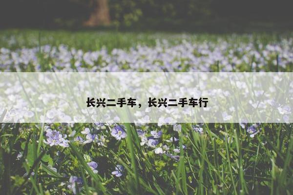 长兴二手车，长兴二手车行