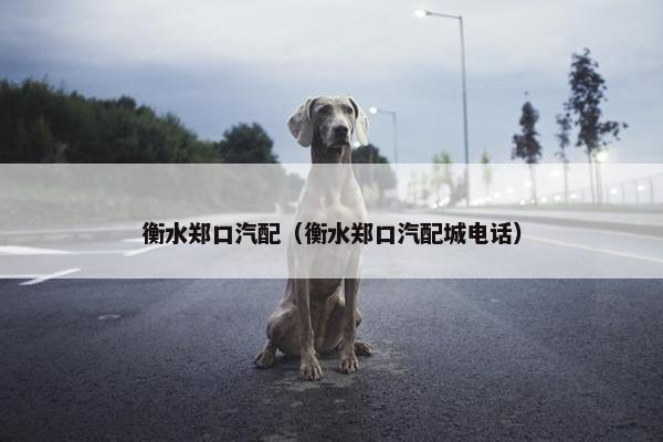 衡水郑口汽配（衡水郑口汽配城电话）