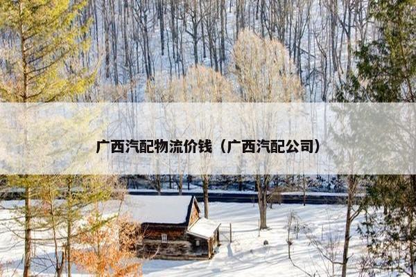 广西汽配物流价钱（广西汽配公司）