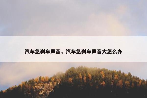 汽车急刹车声音，汽车急刹车声音大怎么办