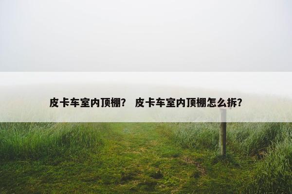 皮卡车室内顶棚？ 皮卡车室内顶棚怎么拆？