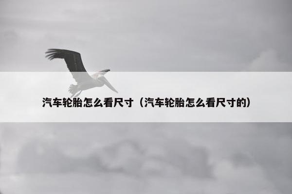 汽车轮胎怎么看尺寸（汽车轮胎怎么看尺寸的）