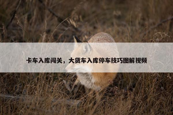 卡车入库闯关，大货车入库停车技巧图解视频