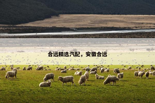 合远精选汽配，安徽合远